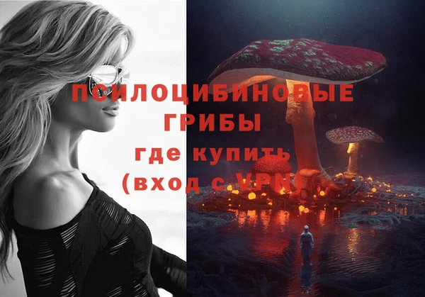 трава Гусев