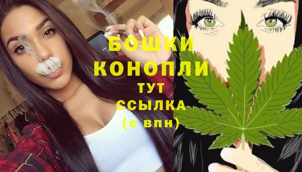 МДПВ Гусь-Хрустальный