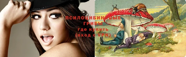 трава Гусев
