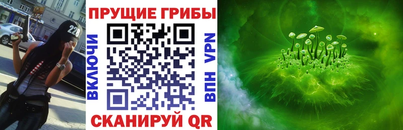 Галлюциногенные грибы прущие грибы  это Telegram  Карачев  наркота  omg ссылки 